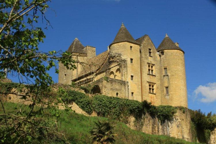 Petite Maison En Pierre Au Coeur Du Perigord Noir Proche De Sarlat Et Rocamadour Salignac Eyvigues Εξωτερικό φωτογραφία
