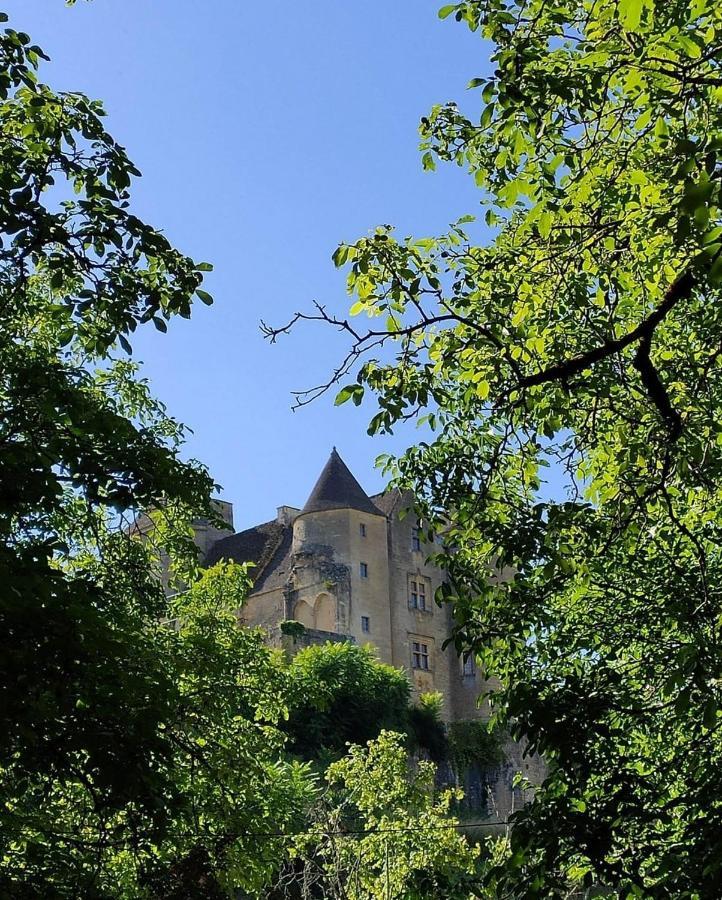 Petite Maison En Pierre Au Coeur Du Perigord Noir Proche De Sarlat Et Rocamadour Salignac Eyvigues Εξωτερικό φωτογραφία