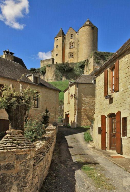Petite Maison En Pierre Au Coeur Du Perigord Noir Proche De Sarlat Et Rocamadour Salignac Eyvigues Εξωτερικό φωτογραφία