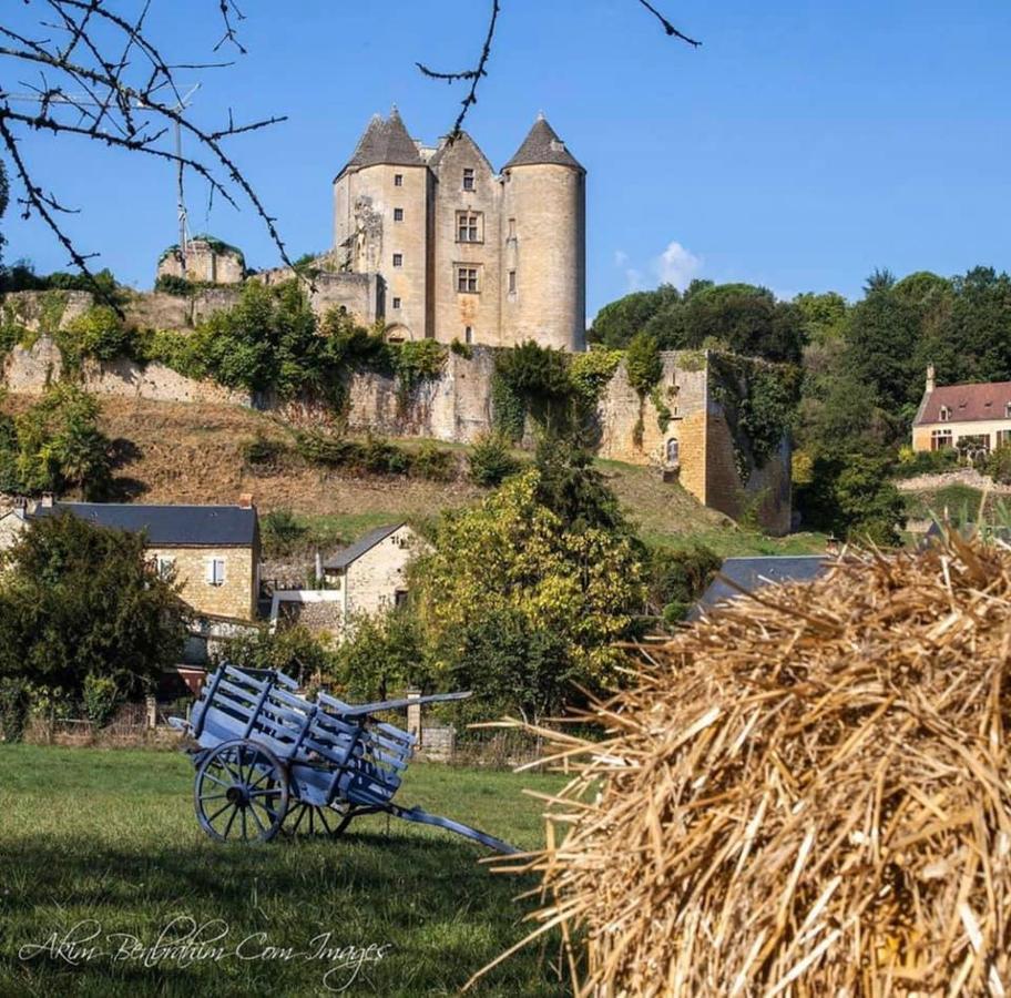 Petite Maison En Pierre Au Coeur Du Perigord Noir Proche De Sarlat Et Rocamadour Salignac Eyvigues Εξωτερικό φωτογραφία