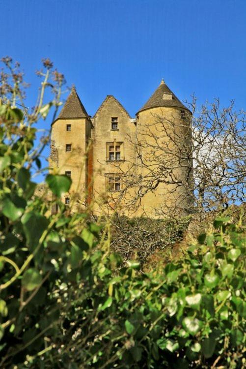 Petite Maison En Pierre Au Coeur Du Perigord Noir Proche De Sarlat Et Rocamadour Salignac Eyvigues Εξωτερικό φωτογραφία